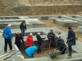 DSC04859-1_tn