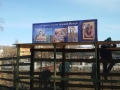 20150409_164050