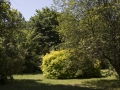 img_1729A_tn img_1729A_tn