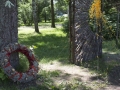 img_1784A_tn img_1784A_tn