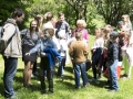 img_1817A_tn img_1817A_tn
