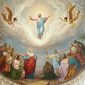 101932263_3330929_3_1_1