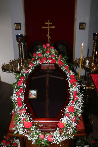 IMG_2010_cr_rt_cr_ed