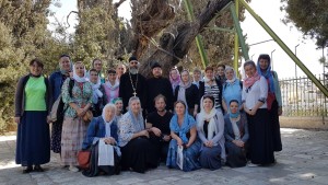 IMG-9b5b54eb377cb444f1533eee2e9e5212-V