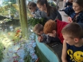 IMG-5bbbc247acc1bdcfc694d195b337a32d-V