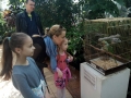 IMG-a6b8febd148ec0acda25b87ef9fb980d-V