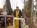 DSC04788-1_tn