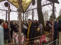 DSC04817-1_tn