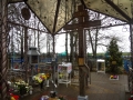 DSC04847-1_tn