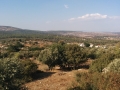IMG_20141026_141946