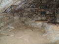 DSCN3058
