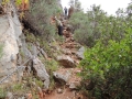 DSCN3079