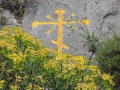 DSCN3124