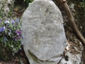 DSCN3186