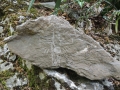 DSCN3188