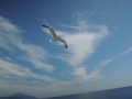 DSCN3200