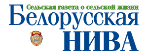 logo_belniva_sait